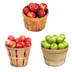 Garden Supplies Sales Store -Garden Supplies Sales Store 3 in 1 Apple