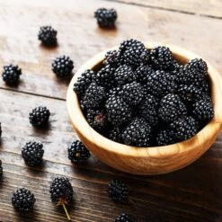 Garden Supplies Sales Store -Garden Supplies Sales Store 3 in 1 blackberry 3