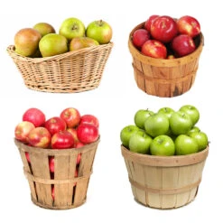 Garden Supplies Sales Store -Garden Supplies Sales Store 4 in 1 Apple