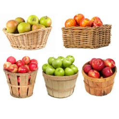 Garden Supplies Sales Store -Garden Supplies Sales Store 5 in 1 Apple