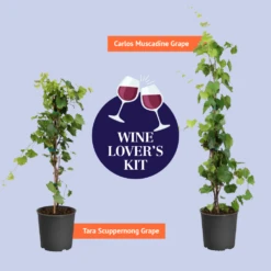 Wine Lover's Kit 7 Wine Lover's Kit -Garden Supplies Sales Store BB WineLoversKitGraphic