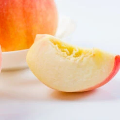 Belle Of Georgia Peach 7 Belle Of Georgia Peach -Garden Supplies Sales Store Belle of Georgia 3