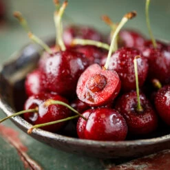 Brooks Cherry Tree 7 Brooks Cherry Tree -Garden Supplies Sales Store Brooks Cherry Tree 3 BB