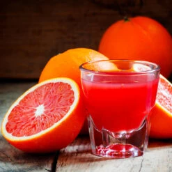 Cara Cara Navel Orange Tree -Garden Supplies Sales Store Cara Cara Orange 4 BB 0768edc6 62c2 4c3e 8c6e 7225322b2fc4