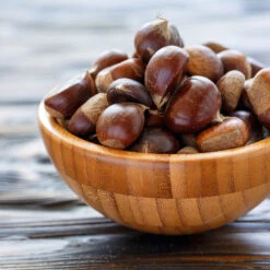 Chinese Chestnut Tree -Garden Supplies Sales Store Chinese Chestnut 5 BB