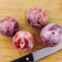 Dapple Dandy Pluot Tree -Garden Supplies Sales Store Dapple Dandy 2