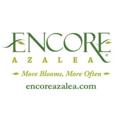 Autumn Angel® Encore® Azalea Shrub -Garden Supplies Sales Store Encore Logo 1000x1000 1b6bfdae 4d4e 45ec 9d82 cace6275e77a