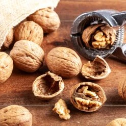 Carpathian English Walnut Tree 9 Carpathian English Walnut Tree -Garden Supplies Sales Store English Carpathian Walnut 1 BB