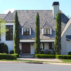 Garden Supplies Sales Store -Garden Supplies Sales Store Italian Cypress 5 BB