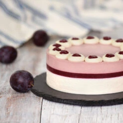 Methley Plum Tree -Garden Supplies Sales Store Methley Plum 5