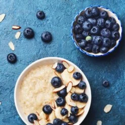 Reveille Blueberry Bush -Garden Supplies Sales Store Reville Blueberry 2