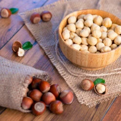 Theta Filbert Hazelnut Tree -Garden Supplies Sales Store THeta FIlbert Hazelnut 4