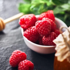 Willamette Red Raspberry Bush 7 Willamette Red Raspberry Bush -Garden Supplies Sales Store Wiliamette Raspberry 1